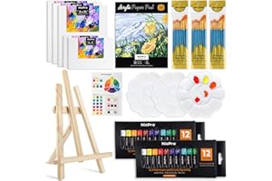 Nicpro 65PCS Acrylic Paint Canvas Set, Adults Art Painting Supplies Kit with 24 of (0.4 fl/oz) 12 Colors Acrylic Paint, 30 Pa