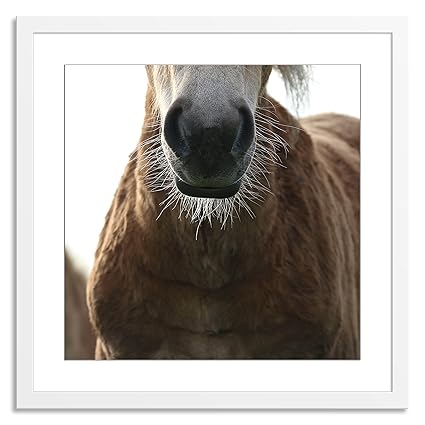 Amazon Com Gallery Direct Nose Hairs By Linda Heidema Artwork