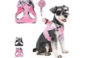 KOOLTAIL Small Dog Harness and Leash Set,Step in No Pull&Choke Soft Mesh Padded Adjustable Collar Style Pet Vest Harness for 