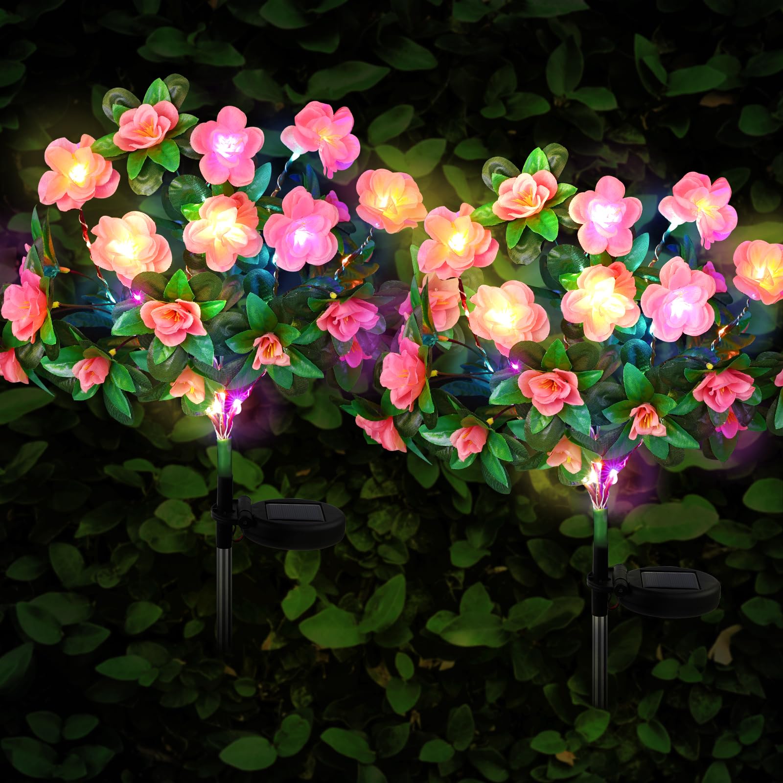 FWLWTWSS Solar Flower Lights Outdoor Garden - 2 Pack Rhododendron Solar Lights, Powered Waterproof with 21 Small Rhododendron Flowers, Garden Ornaments Outdoor (Pink)