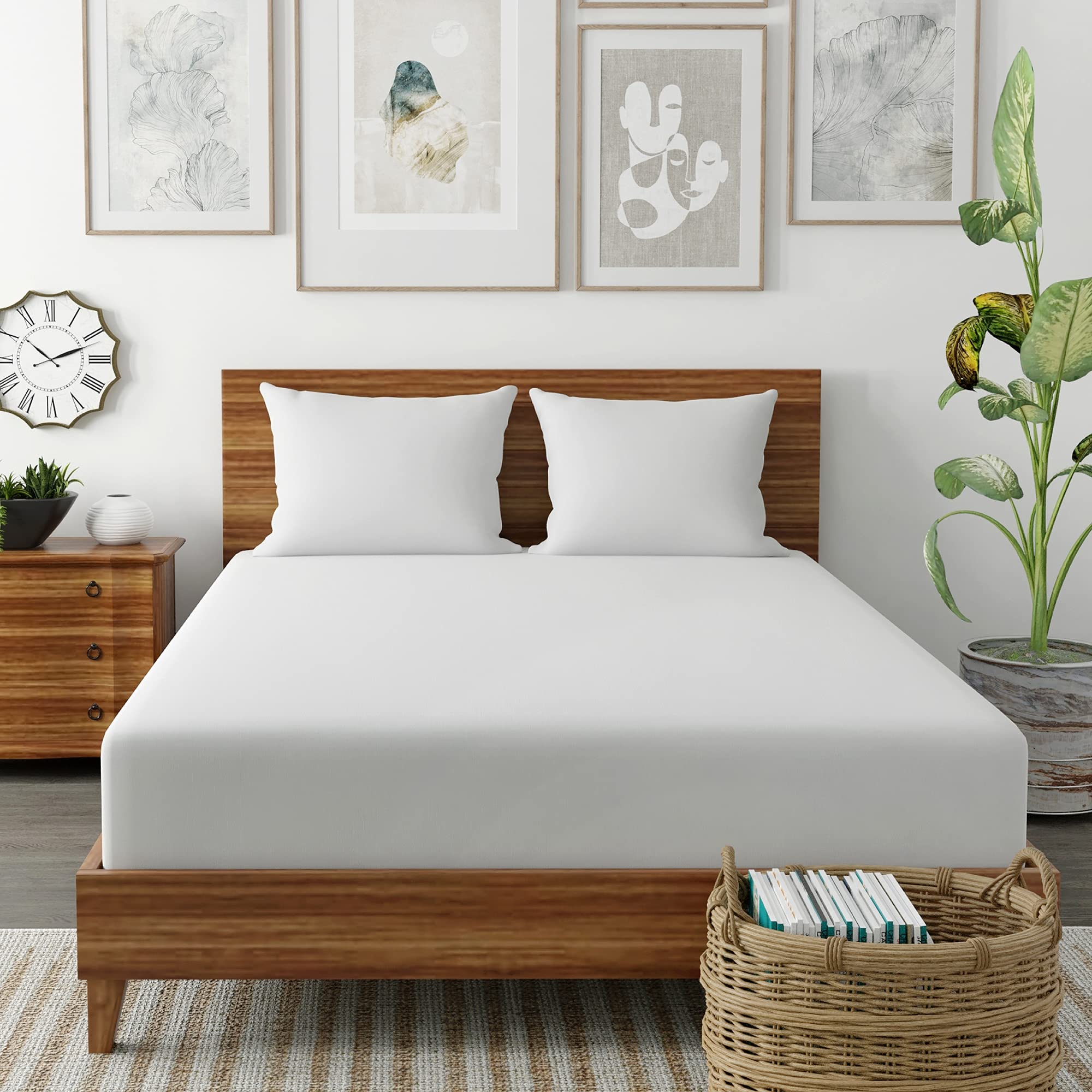 SensorPEDIC Clean Standard Bed UltraFresh Fiber Pillow 2 Pack, White