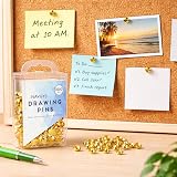 D.A.Y. Republic 300 Brass Metal Drawing Pins Thumb Tacks for Notice Boards Map view 7