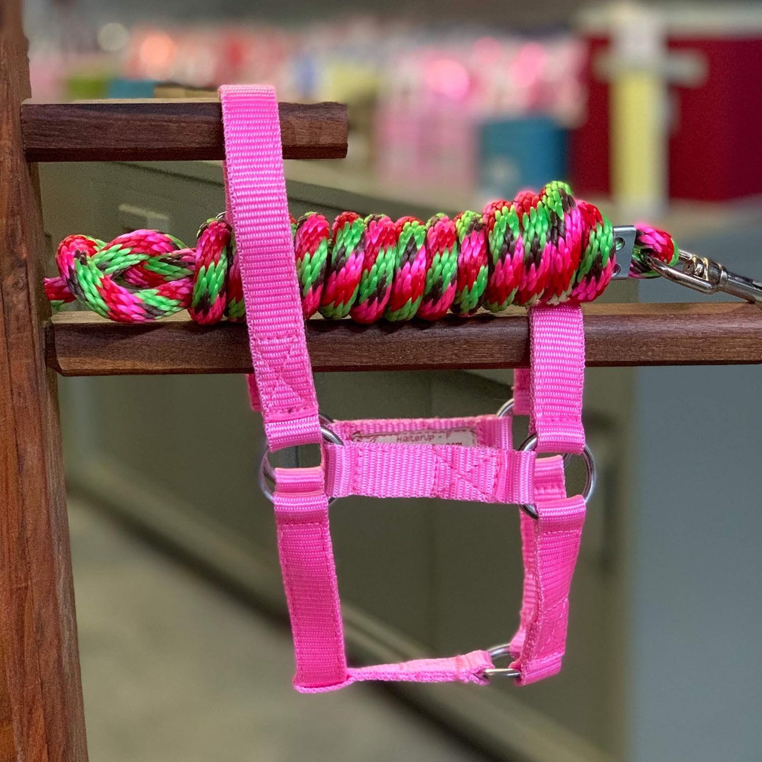 Cute and Stylish Pink Mini Horse Foal Halters and Leads HalterUp
