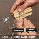 Hydrea London Nail Brush Double-Sided Natural Cactus Bristles Vegan view 5