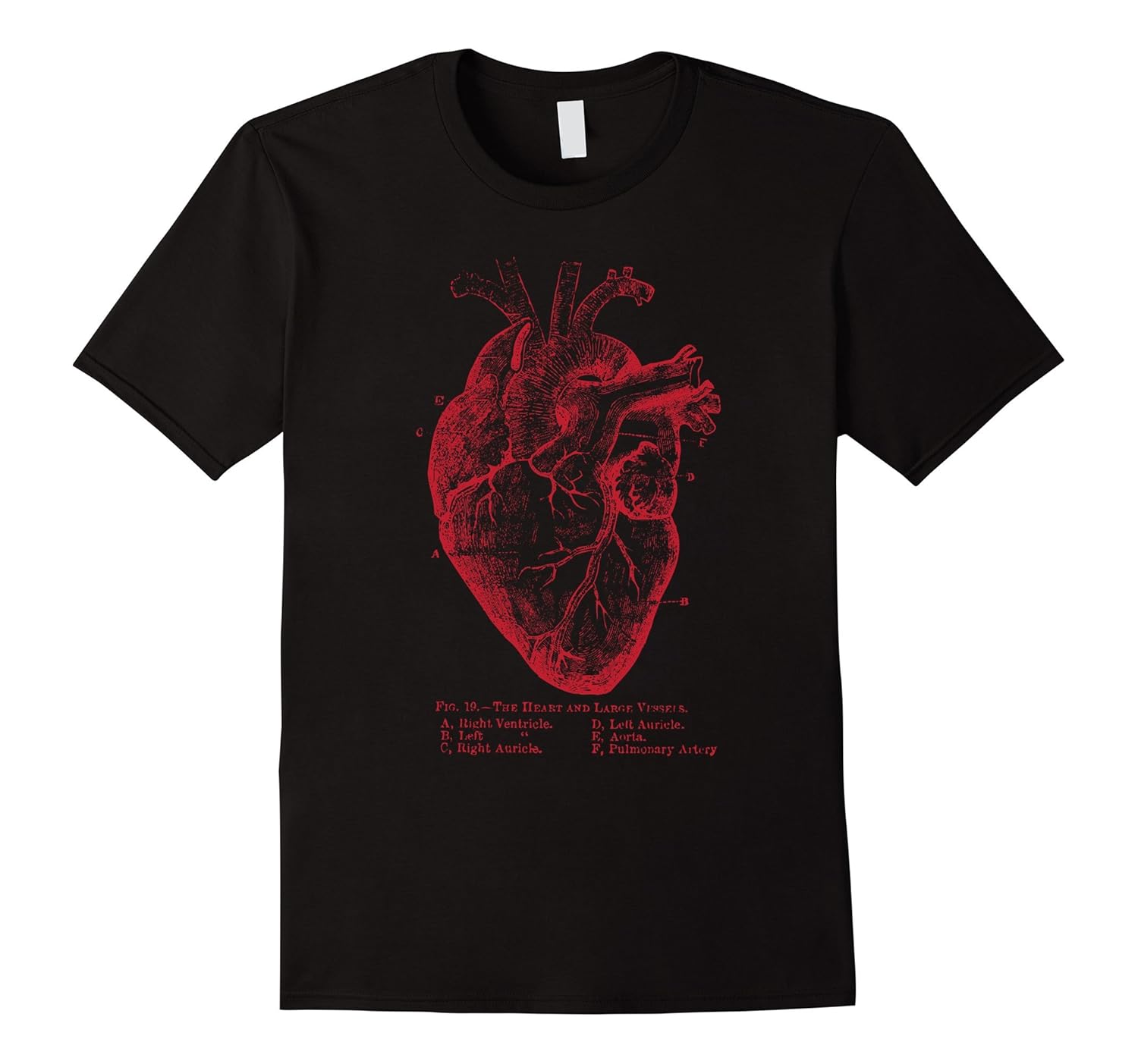 Anatomical Heart TShirt Anatomy IllustrationCL Colamaga