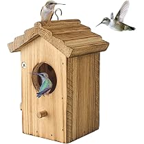 Nichoir pour colibri à suspendre à l'extérieur – Nid en bois pour ...