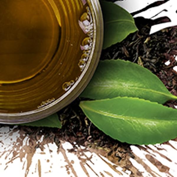 TAZO TEA BAGS FOR A BOLD AND DELIGHTFUL TRADITIONAL BREAKFAST-STYLE BLACK TEA BLACK TEA WITH HIGH CAFFEINE 48 COUNT