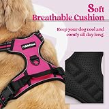 rabbitgoo Small Dog Harness No Pull Reflective Rose Red Easy Control Handle view 3