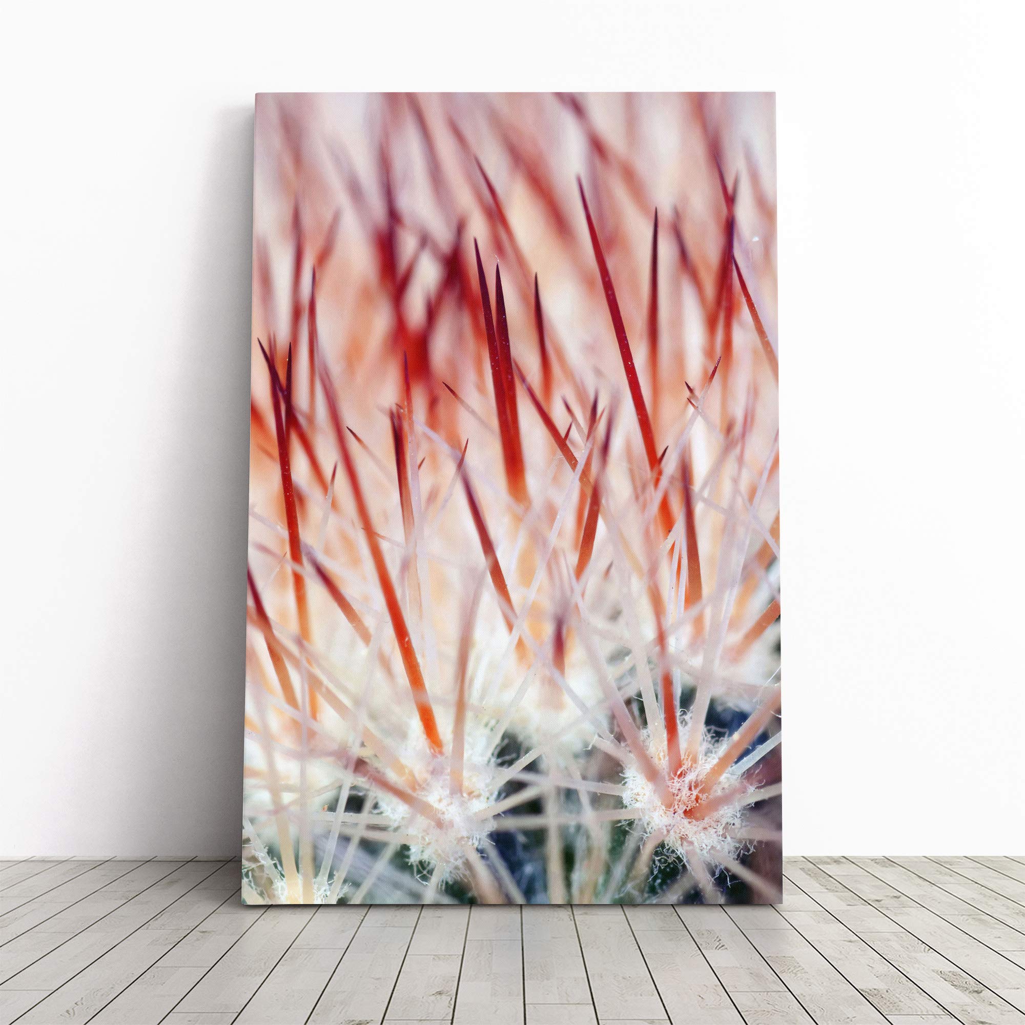 Cacti Cactus (2) Canvas Print | Gallery Wrapped 30mm Frame Wall Art | 20x14 inches | Ready to Hang | Modern Floral Picture | Living Room Bedroom Lounge Office
