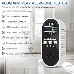 5-in-1 Carbon Monoxide & Combustible Gas Detector