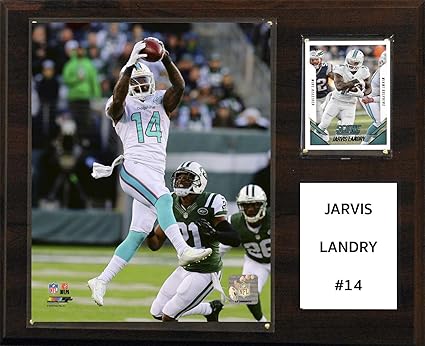 miami dolphins collectables