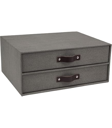 Amazon.com : Bigso Box of Sweden Birger 2-Drawer Fiberboard Label