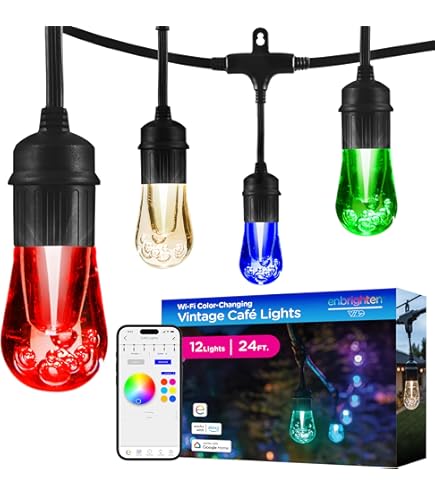 LIGHTING ARUT FALF FEGERENEPIN フェゲレネピン Enbrighten VIBE WiFi Eternity Eave Lights Extension Light Strand, 16.5