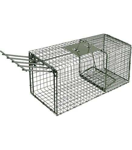 Duke #1105 Humane Cage Trap - 24" X 7" X 7", For Rabbits, Large Squirrels, Small Animals