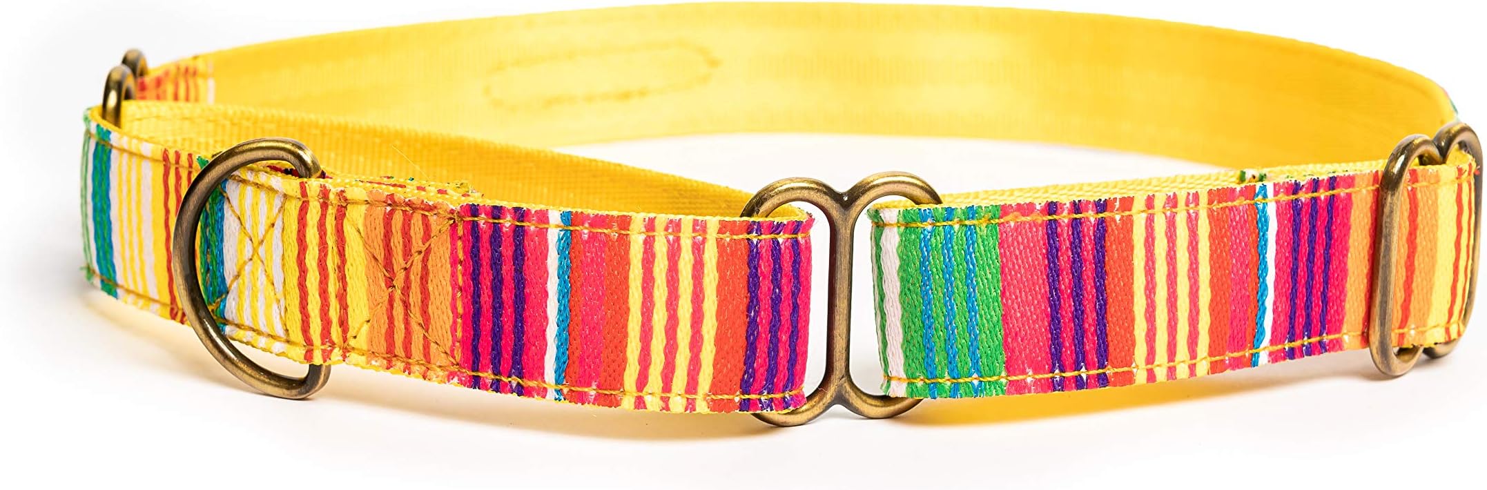 PetWale Colourful Stripes Dog Martingale Collar | Comfy & Secure Fit | No Neck Strains | Easy to Use & Durable | Stylish Design | Dog Accessory | Size M