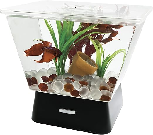 amazon betta fish accessories