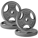 Yes4All 1 Inch Grip Cast Iron Weight Plates for