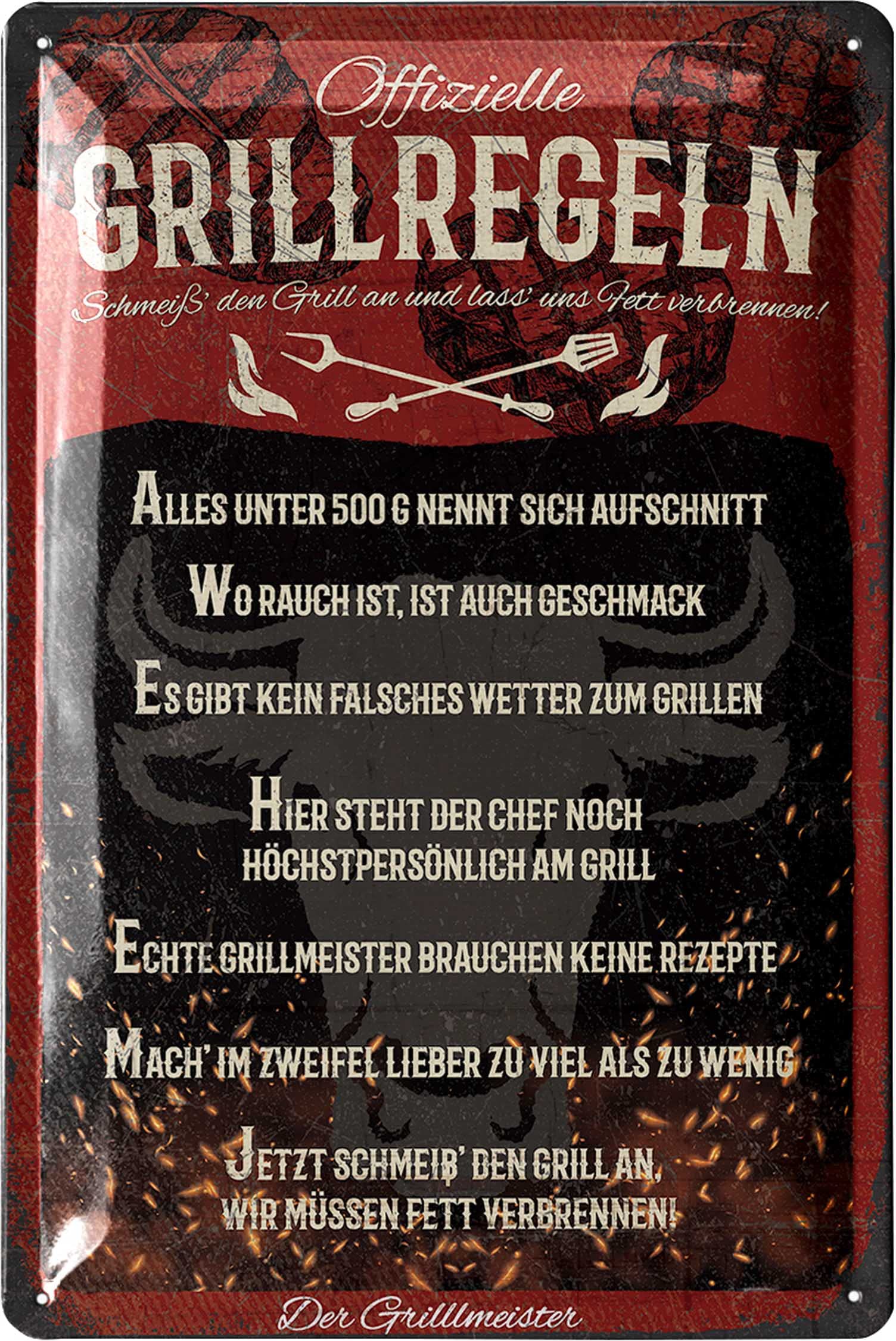 LANOLU Retro Tin Signs for Grilling, BBQ Rules Sign, BBQ Grill, Retro Decoration, Barbecue Area Sign Garden, Gift for Dads, Grill Sign, Signs with Sayings and Punching in 20 x 30 cm