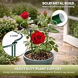 Garden Mile 8Pcs Heavy Duty Large Circular Plant Support Frame Adjustable Rings view 6