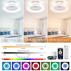 KAMLAM 24" Low Profile Ceiling Fan with
