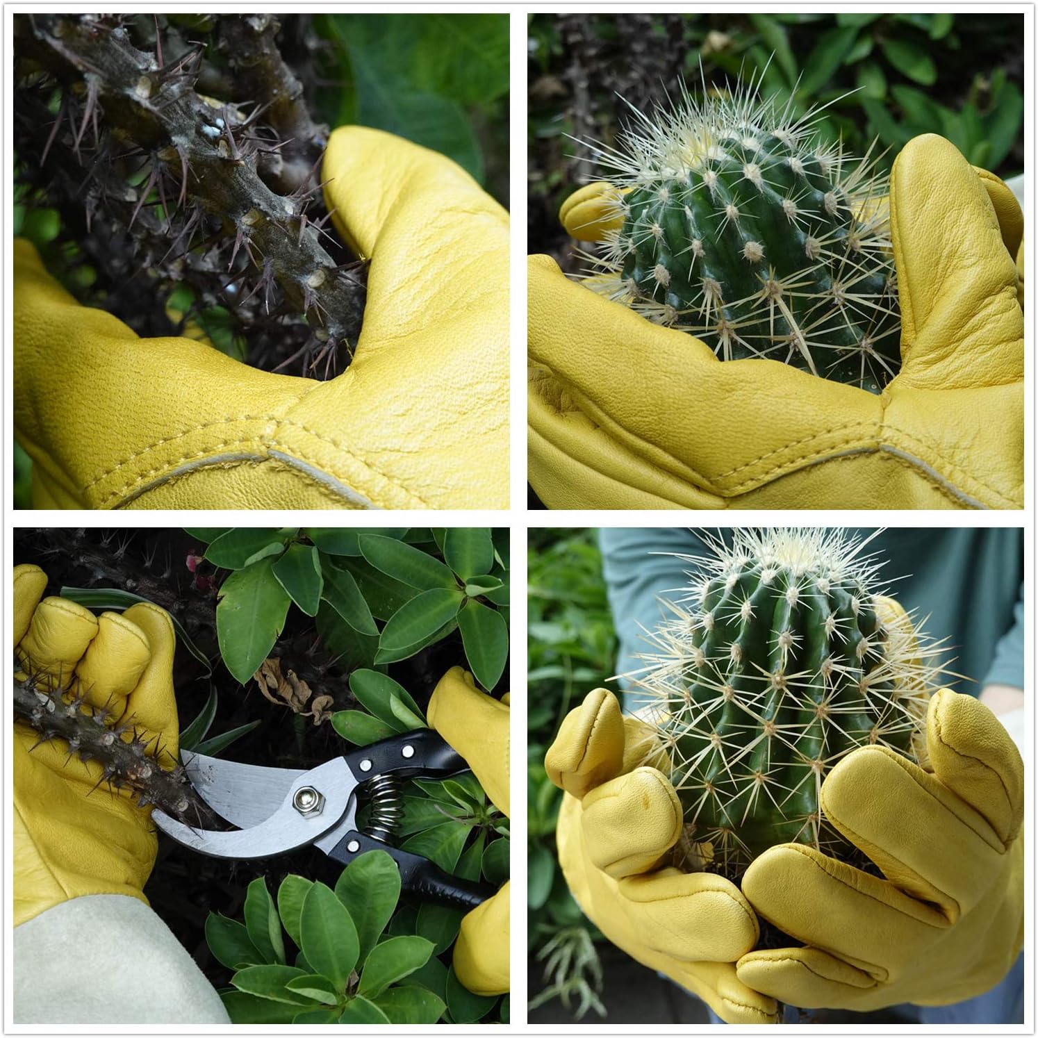 Gardening Gloves, Professional Puncture Proof Gloves for Rose Pruning & Cactus Trimming, Long Leather Garden Gloves Gifts for Women & Men- Full Grain Cowhide & Pigskin (Thorn Proof) (Medium): Clothing