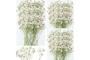 GLICRILI 90Pcs Mini Dried Pressed Baby's Breath Flowers Bulk - Pure Natural Flat Real White Gypsophila Baby Breath, Pressed Flowers for Resin, Frame Art, Scrapbooking, Wedding Invitation
