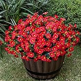 Nigirior Artificial Faux Flowers for Outdoor 16 Bundles Boxwood Fake Morning Glory for Planter,UV Resistant Fake Flowers for Home Porch Patio Outside(Red)