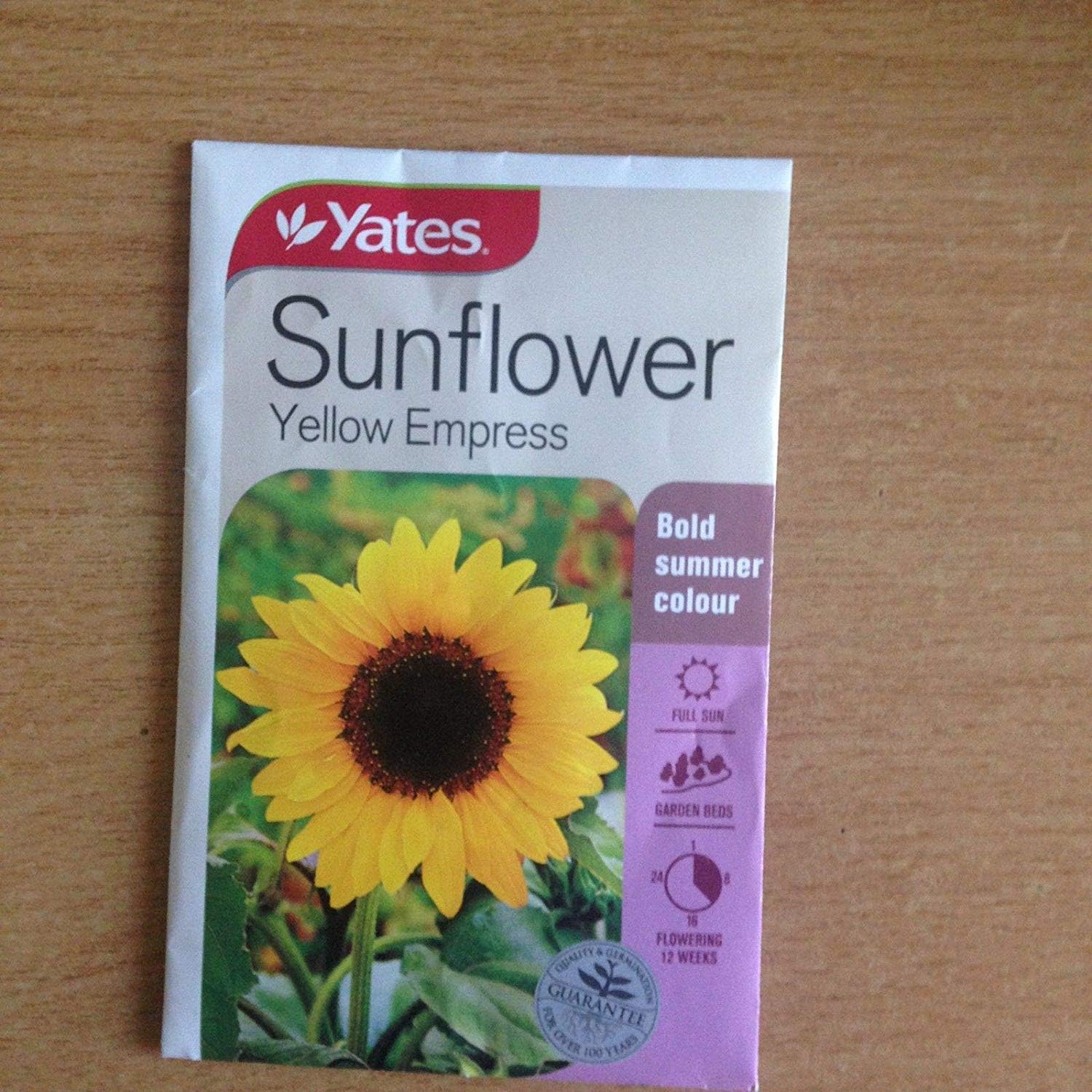 Potseed 3 X Yates Sunflower (Yellow Empress) Seeds (Bnisp) - Bold Summer Colour