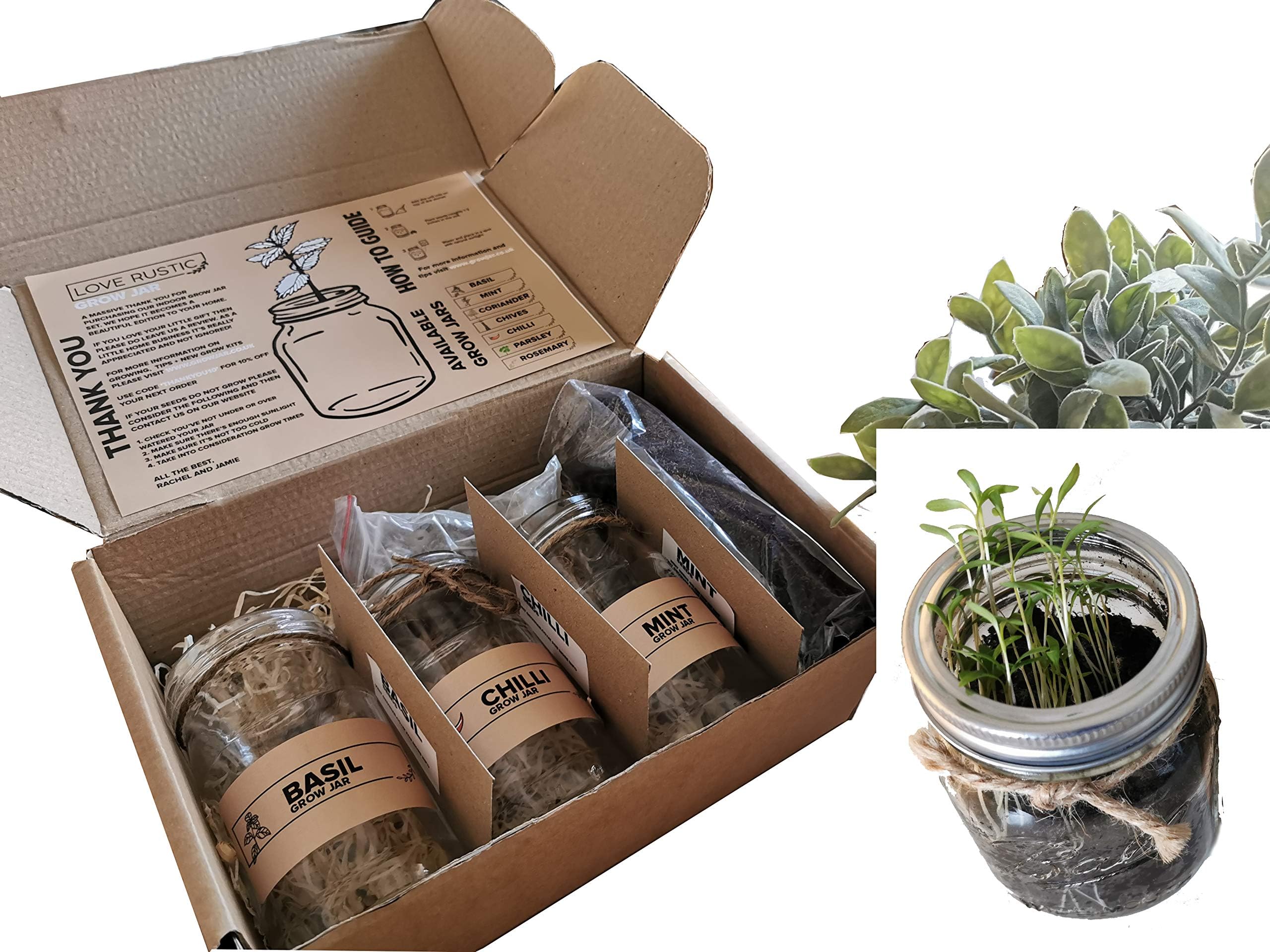 Indoor Herb Garden in Jars Rustic Eco Friendly Gift: Mint, Basil, Coriander, Rosemary, Parsley & Chives (Basil & Chives)