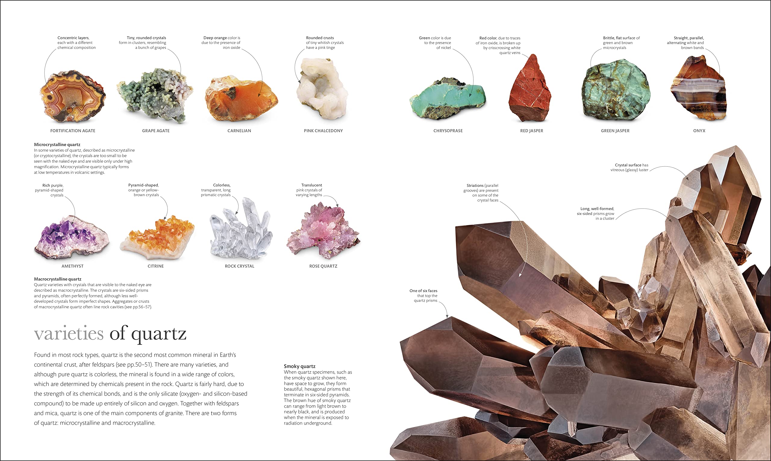 The Science of the Earth: The Secrets of Our Planet Revealed (DK Secret World Encyclopedias)