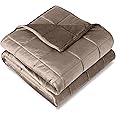 Bare Home Weighted Blanket Queen Size 17lb (60" x 80") for Adults - Minky Fleece - Premium Heavy Blanket Nontoxic Glass Beads (Taupe, 60"x80")