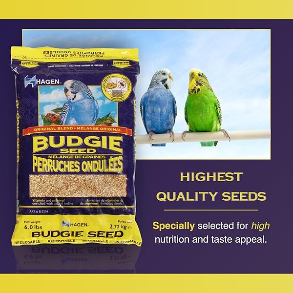HAGEN PARAKEET/BUDGIE STAPLE WHITE MILLET BIRD SEED – PREMIUM BLEND, NUTRITIONALLY BALANCED, FORTIFIED WITH VITAMINS & MINERALS, DUST-FREE MIX FOR BUDGIES, 6 LB BAG