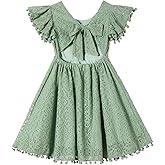 Beganly Toddler Girls Lace Dress Baby Kids Tie Back Bow Pom Pom Ruffle Sleeve Backless Party Princess Dresses