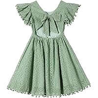 Amazon.com: Niyage Toddler Girls Elegant Lace Pom Pom Flutter Sleeve Party  Princess Dress Beige 80: Clothing, Shoes & Jewelry