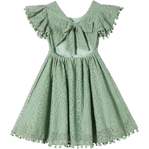 Amazon.com: Niyage Toddler Girls Elegant Lace Pom Pom Flutter Sleeve Party  Princess Dress Beige 80: Clothing, Shoes & Jewelry