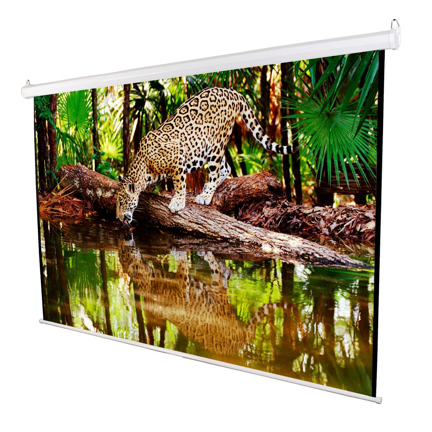 Todeco - Pantalla de Proyección, Pantalla del Proyector: Amazon.es ...