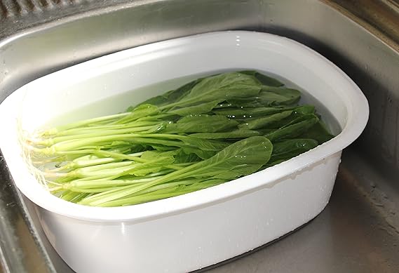 Amazon 野田琺瑯 楕円型 洗い桶 8l 日本製 Wa O 洗い桶 オンライン通販