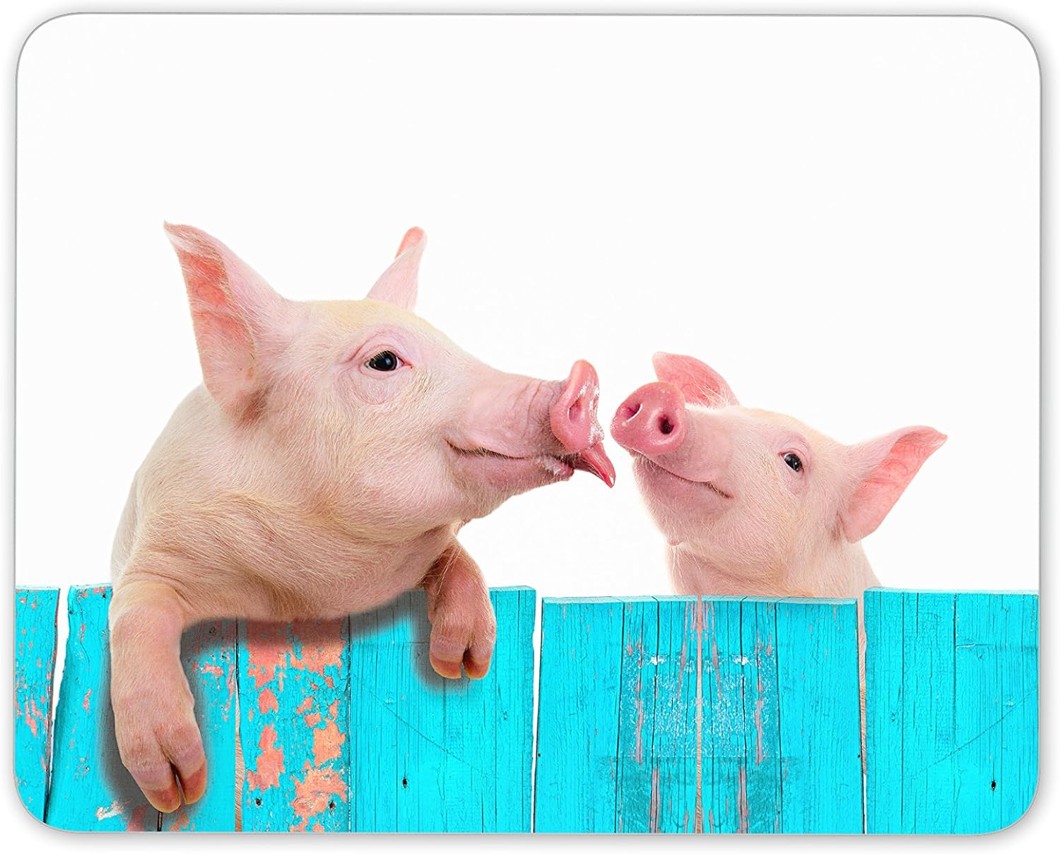 Amazon かわいいぶたマウスマットパッド 豚子豚アニマルキッズファニーギフトpcコンピュータ 8552 Destination Vinyl Mats 家電 カメラ