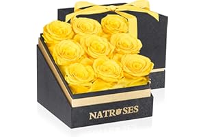 NATROSES Forever Preserved Roses in a Box, 100% Real Roses That Last Up to 3 Years, Flowers for Delivery Prime Birthday, Valentines Day Gifts for Her, Birthday Gifts (Yellow)
