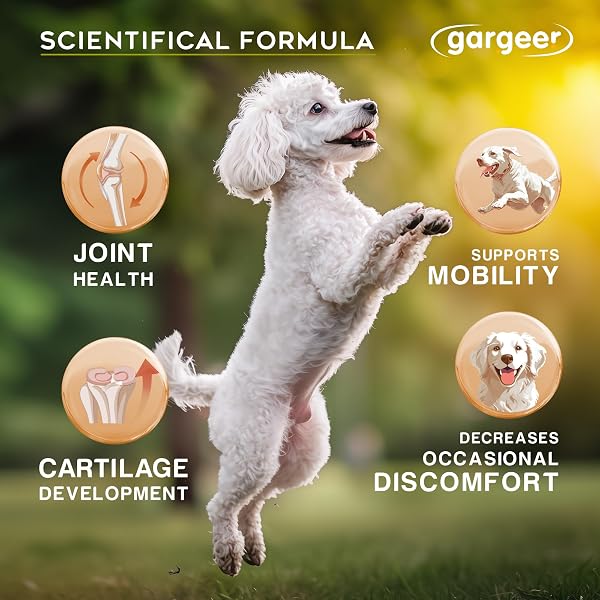 GARGEER HIP & JOINT MOBILITY HEALTH SUPPLEMENT. RICH WITH NATURAL GLUCOSAMINE, MSM AND GREEN LIPPED MUSSEL. VET CREATED – FOR ALL DOG BREEDS & AGES. 160 DUCK FLAVOR SOFT CHEWS. MADE IN THE USA. ENJOY!