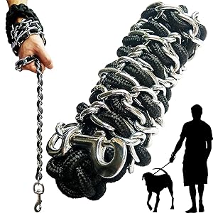 chain dog leash 6ft