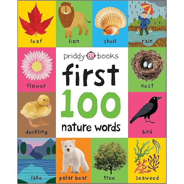 Amazon.com: First 100 PB Box Set (5 books): First 100 Words