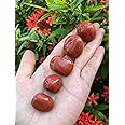 GAF TREASURES 5 Pcs Red Jasper Tumbled Stones, Polished Red Jasper Gemstone, Red Jasper Healing Crystals (Red Jasper)
