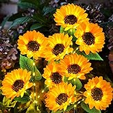 KOOPER Solar Lights Outdoor Decor - Upgraded 3 Pack Solar Garden Lights with 9 Sunflower Lights, Waterproof Solar Outdoor Lights Auto ON/Off Solar Decorative Lights for Garden, Patio, Yard