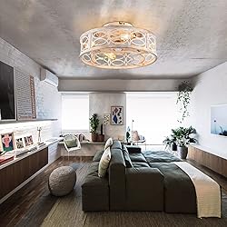 HUEOCZW 20" Caged Ceiling Fan with Light and