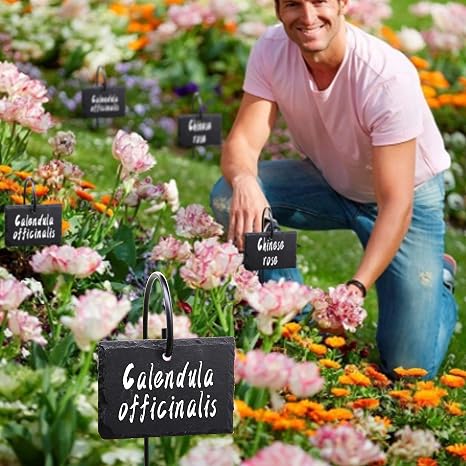 FORUP Etiqueta para Plantas, 10 Etiquetas para marcadores de ...