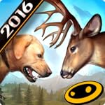 DEER HUNTER 2016