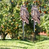 Lifreer Fake Owl Decoy 5Pcs Reflective Bird Deterrent Outdoor Hanging Device view 9