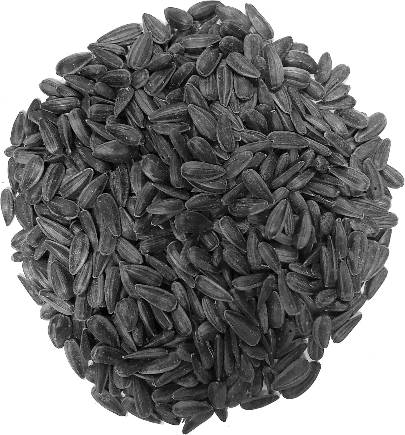 CountryMax Black Oil Sunflower Seed for Wild Birds 50 LBS