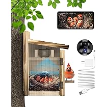 Where to Buy Bird Houses: Top Spots for Quality & Style